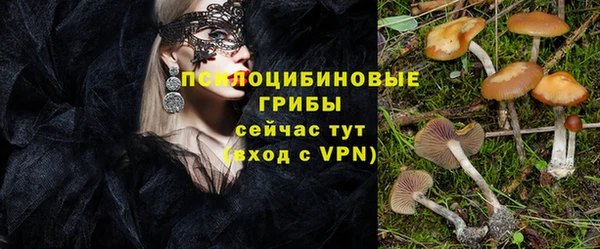 каннабис Ельня