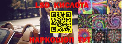 прущие грибы Жуковский