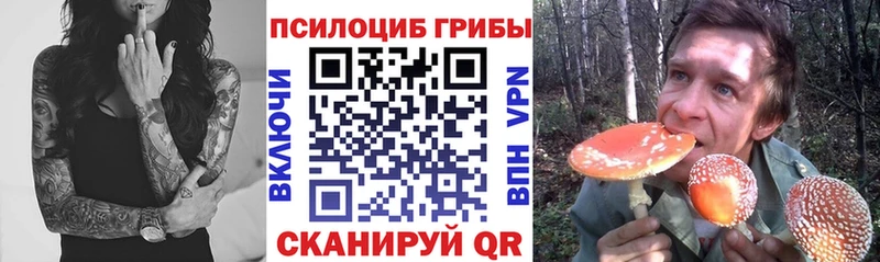 Галлюциногенные грибы GOLDEN TEACHER  Рузаевка 