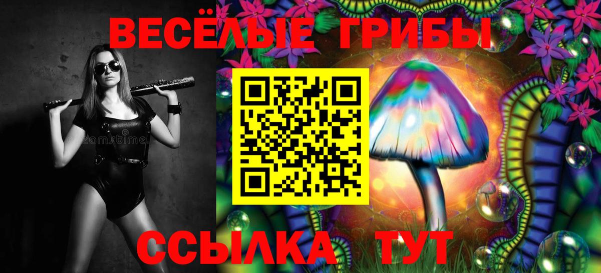 Рузаевка  Псилоцибиновые грибы прущие грибы  Вход с VPN 